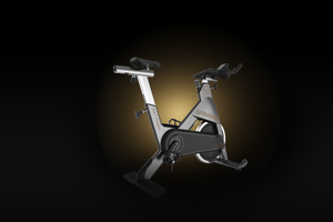 Bicicleta Spinning Profesional NXT Power